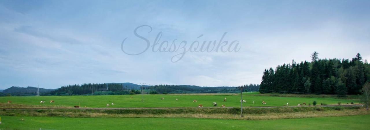 Agroturystyka Sloszowka Дужники Здрой Екстериор снимка